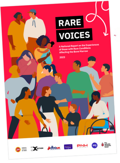 click to download the Rare Voices report